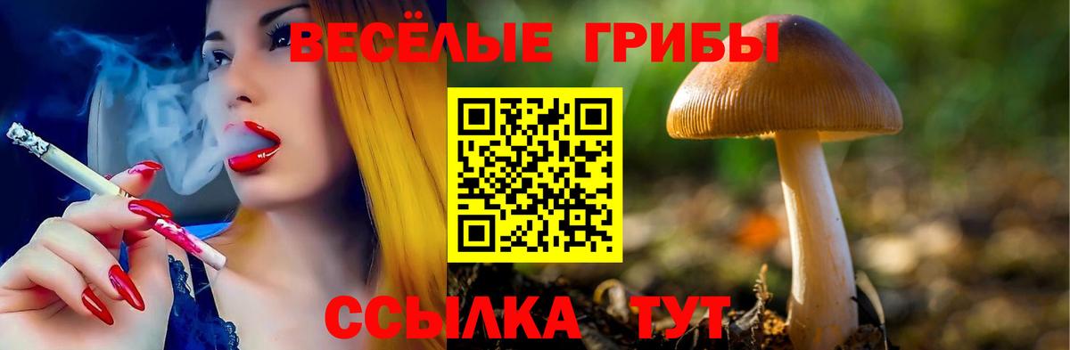 наркота  Псилоцибиновые грибы Cubensis  Вход с VPN  Коломна 